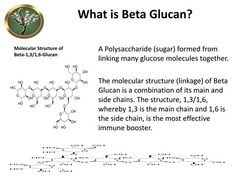what does beta glucan do|What Is Beta.
